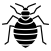بق الفراش